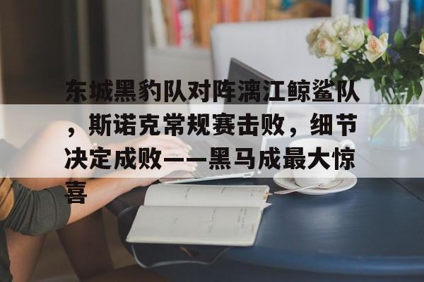 开云体育下载-东城黑豹队对阵漓江鲸鲨队，斯诺克常规赛击败，细节决定成败——黑马成最大惊喜的简单介绍